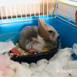 电话,地址,价格,营业时间 图 广州宠物