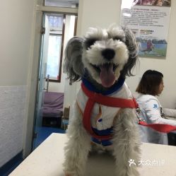 电话,地址,价格,营业时间 图 北京宠物