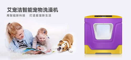 宠物智能用品赛道强势发力,后市是否值得关注
