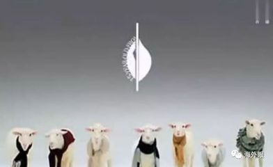 海外医疗:我不是“医神”
