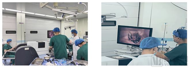 重磅!国内首款自然腔道柔性妇科手术机器人完成首例活体动物实验