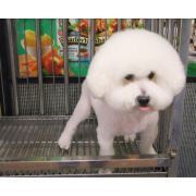 长江宠物医院|天津市长江动物医院产品列表