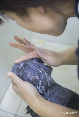 【京和动物医院团购】