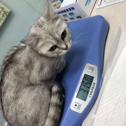 电话,地址,价格,营业时间 图 西安宠物