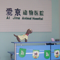 北京爱京动物医院