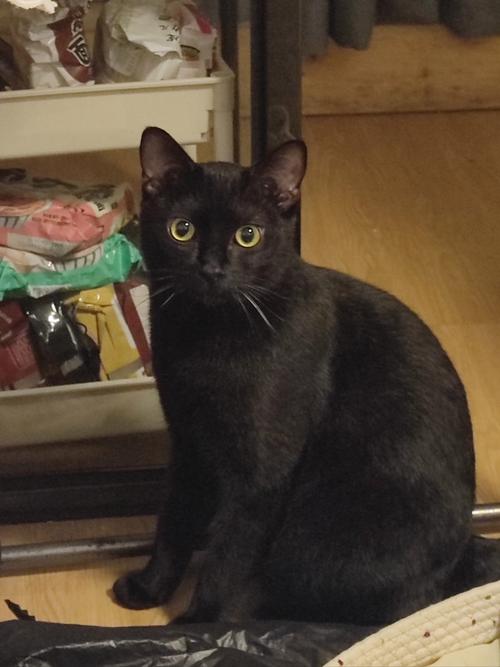 瑞派康怡宠物医院