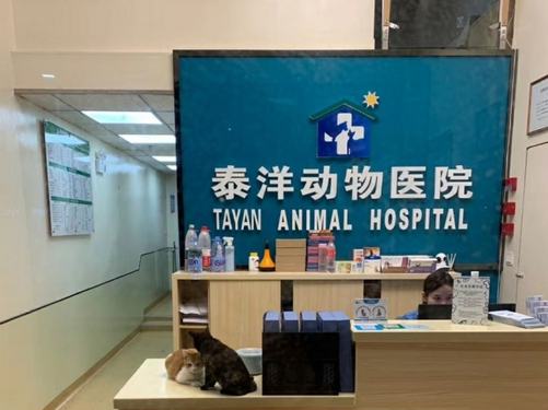 【唬哥海鲜加工坊(十四涌水产中心店)】电话_地址_价格_营业时间_百万葵园/十九涌海鲜