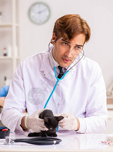 生病的棕色猫躺在医疗桌上