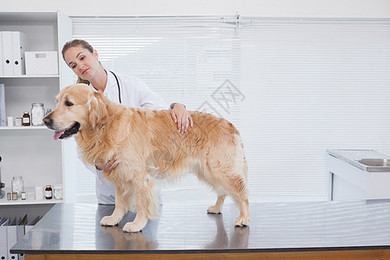 主题边框设计背景