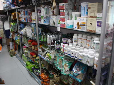 长春受欢迎的动物医院_可靠的动物医院推荐产品大图