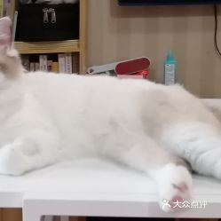 电话,地址,价格,营业时间 图 北京宠物