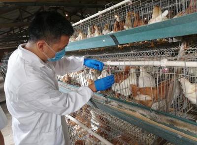 党的生日送服务到一线