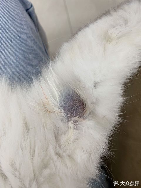 浙江大学动物科学学院附属动物医院地址,浙江大学动物科学学院附属动物医院电话,浙江大学动物科学学院附属动物医院图片 360地图