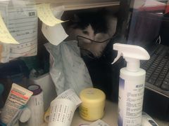 海瑞动物医院迪迪分院