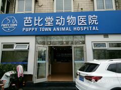 芭比堂动物医院(桥东分院)
