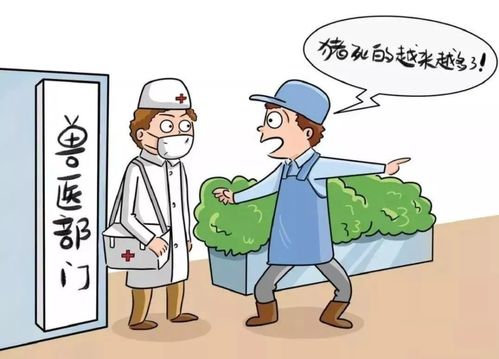 动物防疫法5月1日起施行,关系到畜禽和宠物