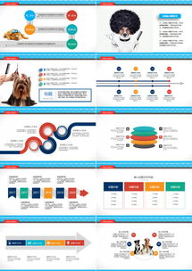 蓝色商务动物医疗宠物用品宠物医院ppt模板下载 熊猫办公