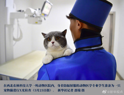 还在纠结填什么志愿?这些“冷门”专业了解一下