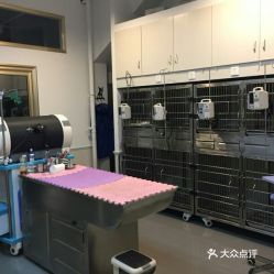 电话,地址,价格,营业时间 宣化区宠物