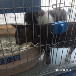 电话,地址,价格,营业时间 深圳宠物