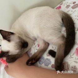 电话,地址,价格,营业时间 北京宠物