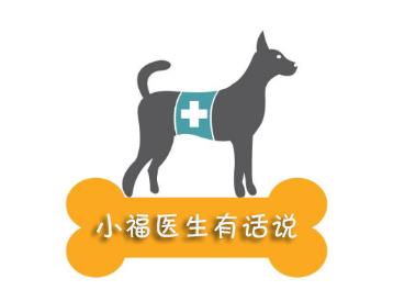 福懋动物医院 猫是吃鱼能手,不会被鱼骨刺伤