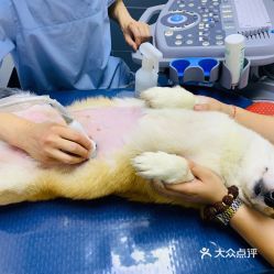 谐和益家动物医院(高新天悦店)