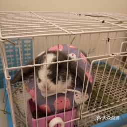 浙江大学动物科学学院附属动物医院地址,浙江大学动物科学学院附属动物医院电话,浙江大学动物科学学院附属动物医院图片 360地图