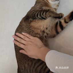 心仪动物医院 泰安中心院