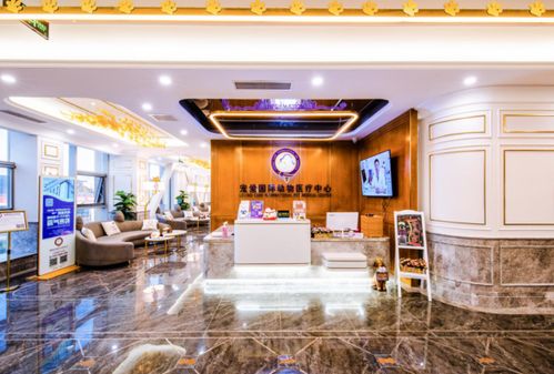 2020亚宠展宠爱国际动物医院 专业与关爱，slay全场