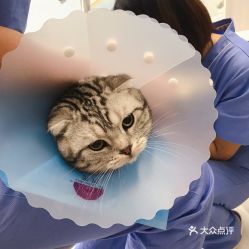 北京宠物动物医院实用指南 联系方式、地址、价格与营业时间