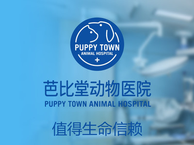 杭州哪里有靠谱的宠物寄养?