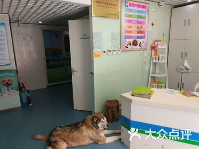 东兴动物医院(三环新城分院)