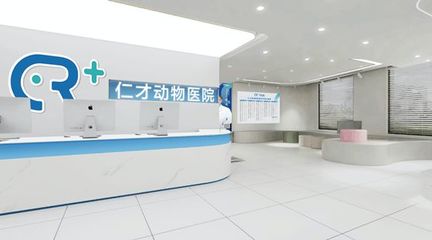 为小动物时刻准备着 湖南仁才动物医院扩大规模再起航