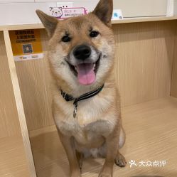 电话,地址,价格,营业时间 北京宠物