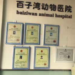 百子湾动物医院(24小时急诊店)电话, 地址, 价格, 营业时间(图)-宠物医院-北京宠物-大众点评网