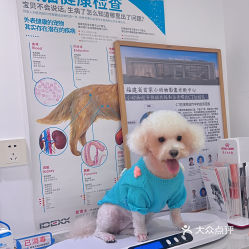 北极动物医院·CT·核磁·骨科中心