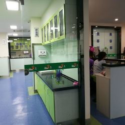 西安瑞丽康德动物医院——全方位宠物医疗服务指南