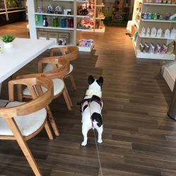 宠颐生动物医院 My Pet Zone 为爱宠健康保驾护航的温馨港湾